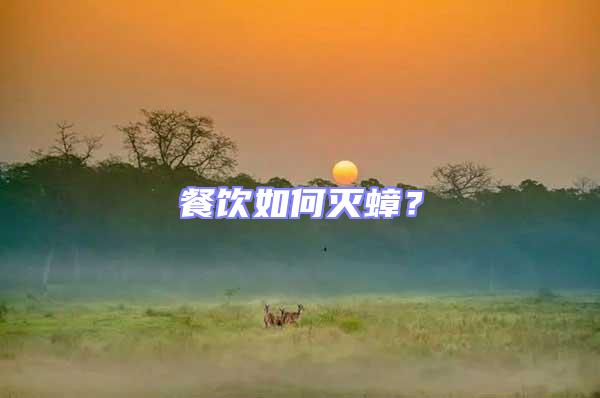 餐飲如何滅蟑？