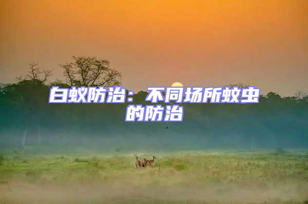 白蟻防治:不同場所蚊蟲的防治