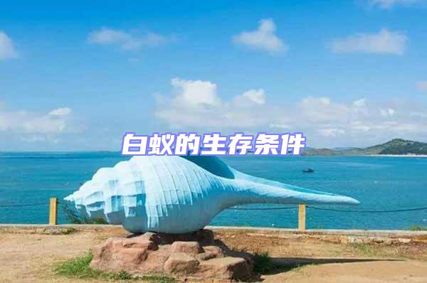 白蟻的生存條件