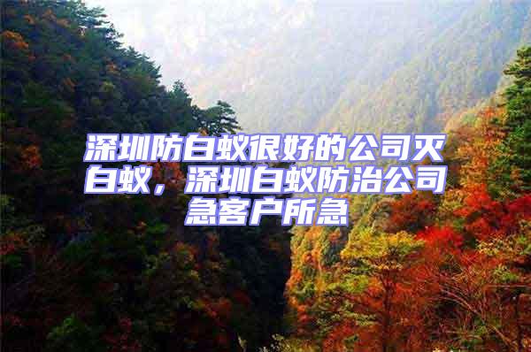 深圳防白蟻很好的公司滅白蟻,深圳白蟻防治公司急客戶所急