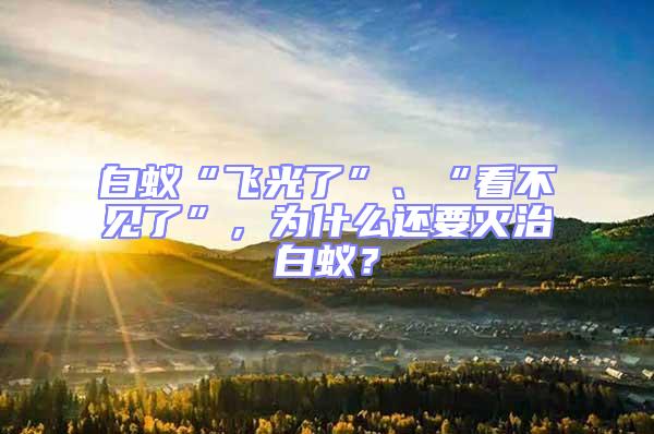 白蟻“飛光了”、“看不見了”,為什么還要滅治白蟻?