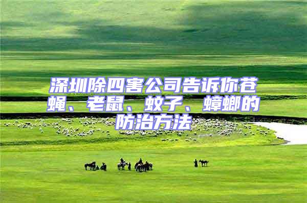 深圳除四害公司告訴你蒼蠅、老鼠、蚊子、蟑螂的防治方法