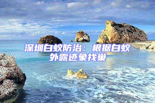 深圳白蟻防治:根據(jù)白蟻外露跡象找巢