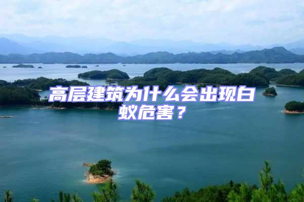高層建筑為什么會出現白蟻危害?