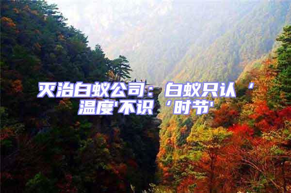 滅治白蟻公司:白蟻只認(rèn)‘溫度'不識(shí)‘時(shí)節(jié)'