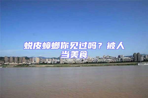 蛻皮蟑螂你見過嗎?被人當美食