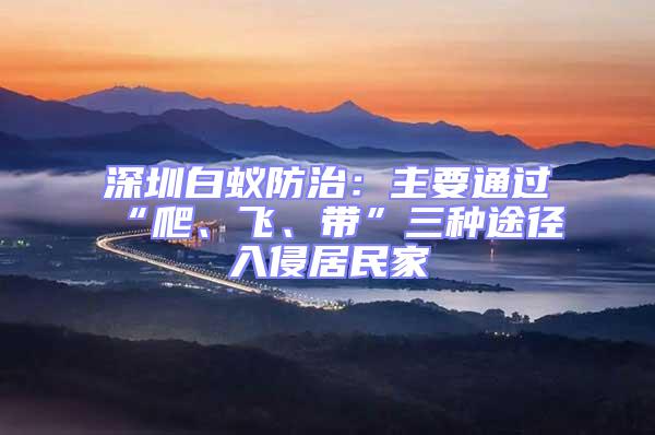 深圳白蟻防治：主要通過(guò)“爬、飛、帶”三種途徑入侵居民家