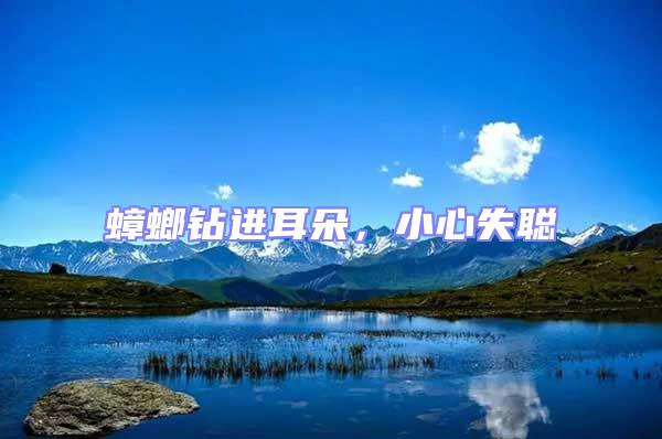 蟑螂鉆進耳朵,小心失聰