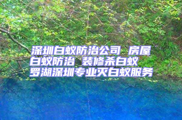 深圳白蟻防治公司 房屋白蟻防治 裝修殺白蟻 羅湖深圳專業(yè)滅白蟻服務(wù)