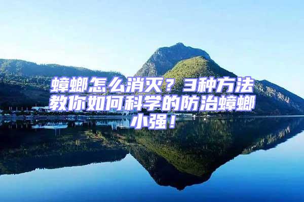 蟑螂怎么消滅?3種方法教你如何科學(xué)的防治蟑螂小強(qiáng)!