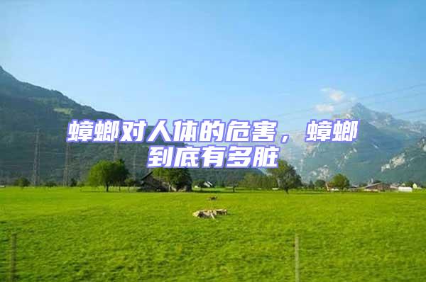 蟑螂對人體的危害，蟑螂到底有多臟