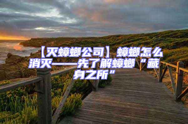 【滅蟑螂公司】蟑螂怎么消滅——先了解蟑螂“藏身之所”