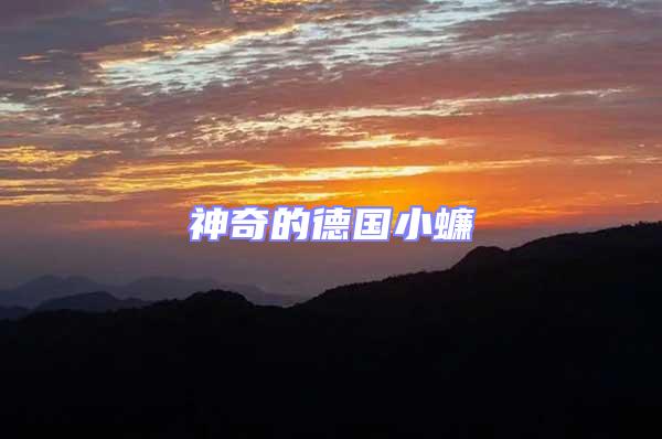 神奇的德國小蠊