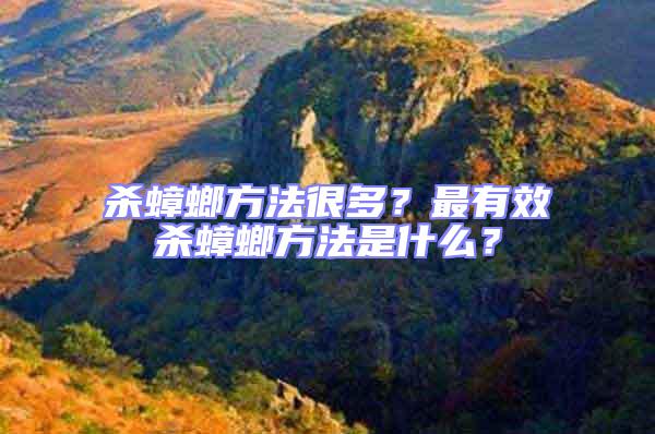 殺蟑螂方法很多?最有效殺蟑螂方法是什么?