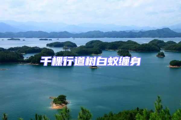 千棵行道樹白蟻纏身