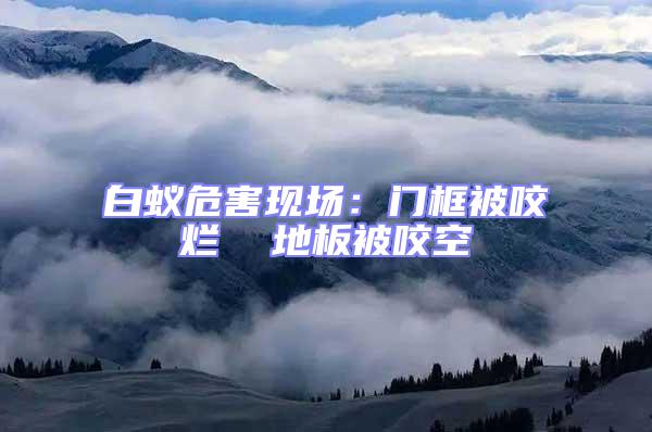 白蟻危害現場:門框被咬爛 地板被咬空