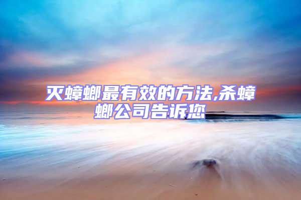 滅蟑螂最有效的方法,殺蟑螂公司告訴您