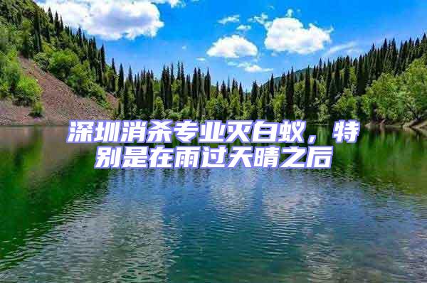 深圳消殺專業(yè)滅白蟻,特別是在雨過天晴之后