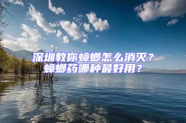 深圳教你蟑螂怎么消滅?蟑螂藥哪種最好用?