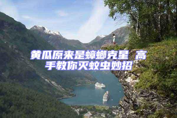 黃瓜原來(lái)是蟑螂克星 高手教你滅蚊蟲(chóng)妙招