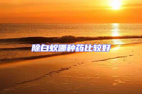除白蟻哪種藥比較好