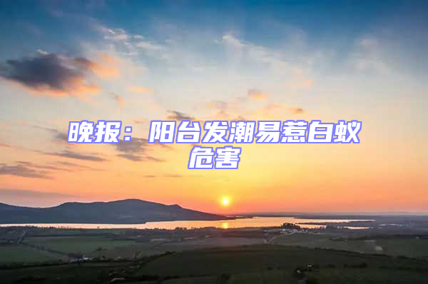 晚報:陽臺發潮易惹白蟻危害
