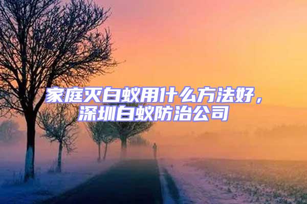家庭滅白蟻用什么方法好，深圳白蟻防治公司