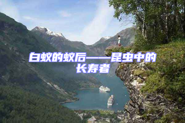 白蟻的蟻后——昆蟲中的長(zhǎng)壽者