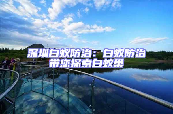 深圳白蟻防治:白蟻防治帶您探索白蟻巢