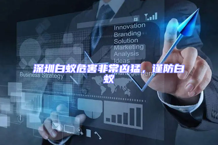 深圳白蟻危害非常兇猛，謹防白蟻