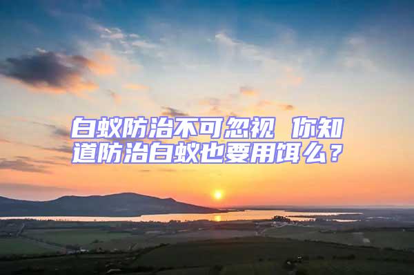 白蟻防治不可忽視 你知道防治白蟻也要用餌么?