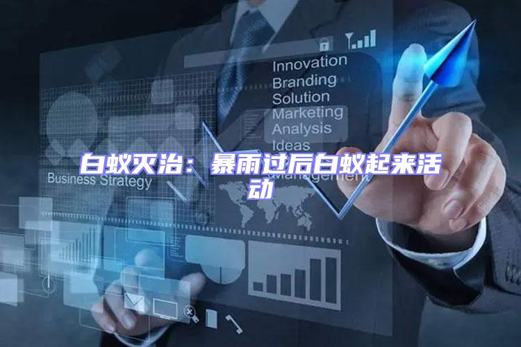 白蟻滅治：暴雨過后白蟻起來活動