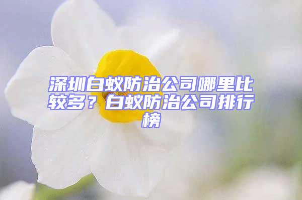 深圳白蟻防治公司哪里比較多？白蟻防治公司排行榜