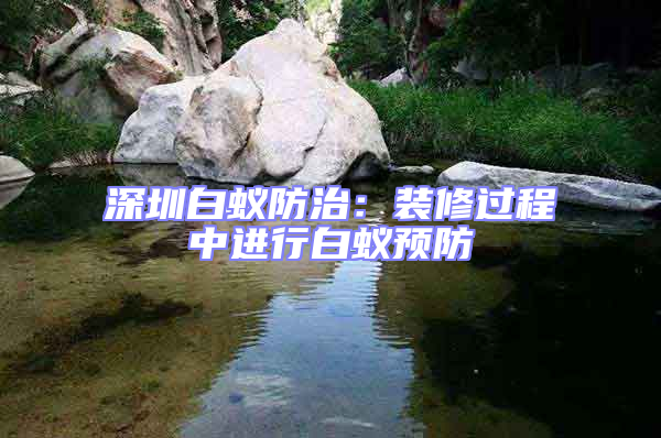 深圳白蟻防治:裝修過程中進行白蟻預防