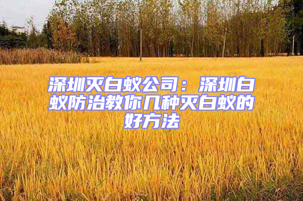 深圳滅白蟻公司：深圳白蟻防治教你幾種滅白蟻的好方法