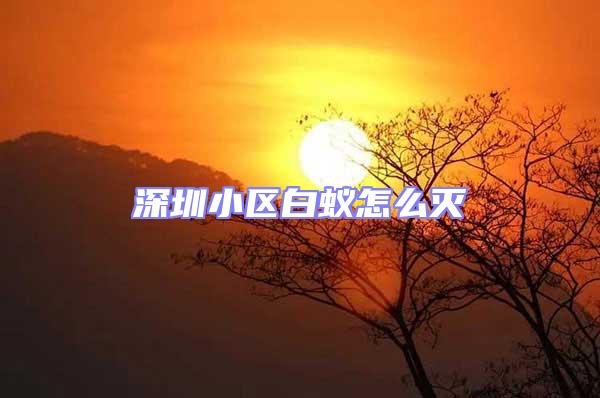 深圳小區白蟻怎么滅