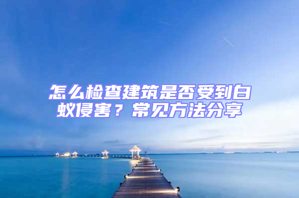 怎么檢查建筑是否受到白蟻侵害？常見方法分享
