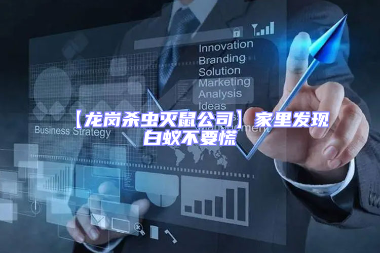 【龍崗殺蟲滅鼠公司】家里發現白蟻不要慌