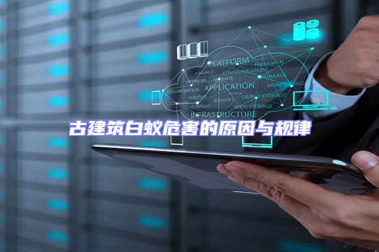 古建筑白蟻危害的原因與規(guī)律