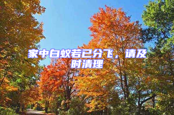 家中白蟻若已分飛，請及時清理