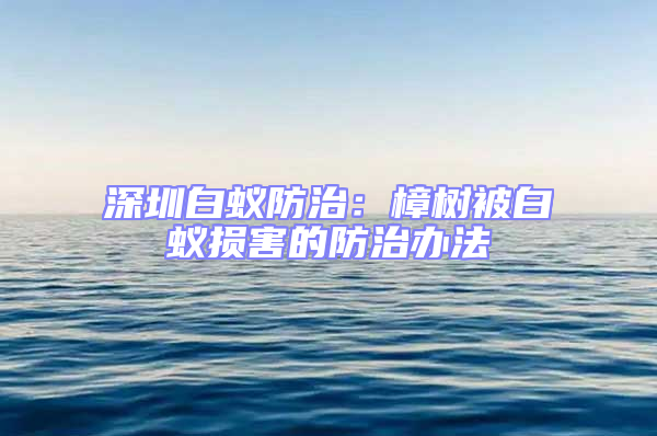 深圳白蟻防治：樟樹被白蟻損害的防治辦法