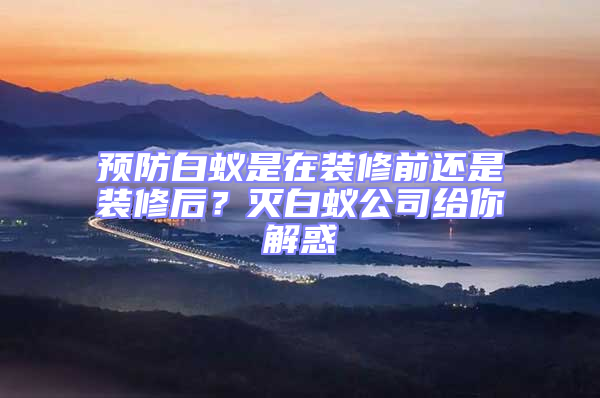 預(yù)防白蟻是在裝修前還是裝修后？滅白蟻公司給你解惑