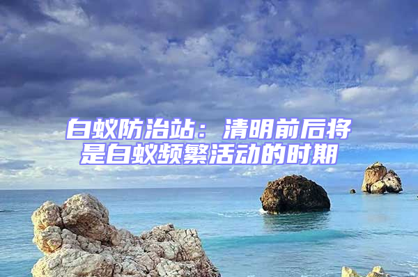 白蟻防治站：清明前后將是白蟻頻繁活動的時期
