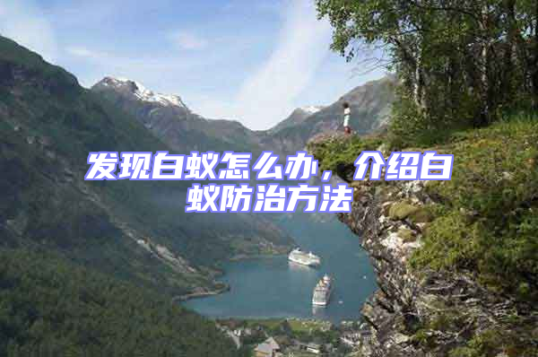 發(fā)現(xiàn)白蟻怎么辦,介紹白蟻防治方法