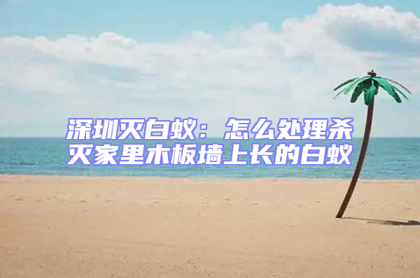 深圳滅白蟻：怎么處理殺滅家里木板墻上長的白蟻