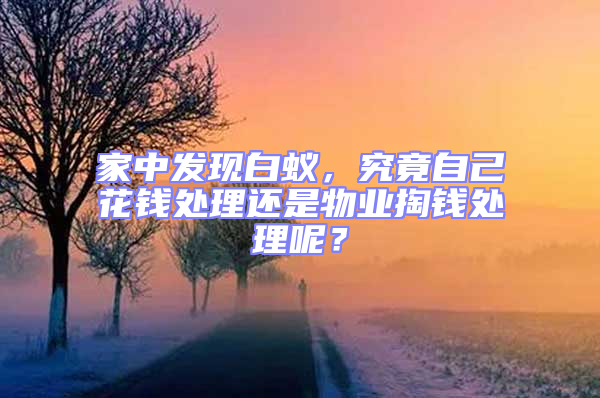 家中發現白蟻，究竟自己花錢處理還是物業掏錢處理呢？