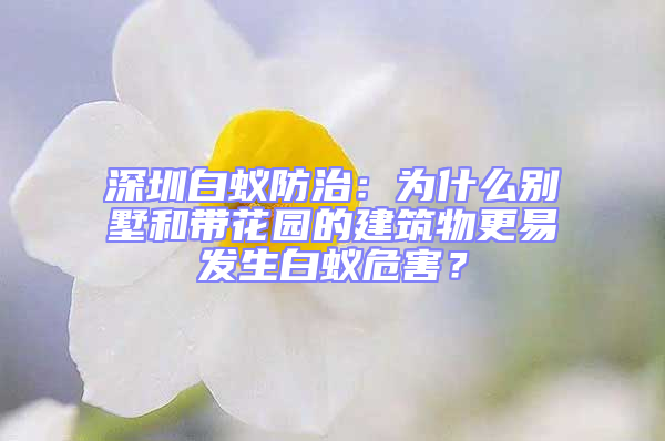 深圳白蟻防治:為什么別墅和帶花園的建筑物更易發生白蟻危害?