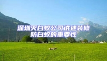 深圳滅白蟻公司講述裝修防白蟻的重要性