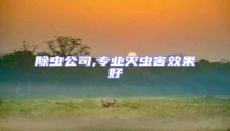 除蟲公司,專業(yè)滅蟲害效果好