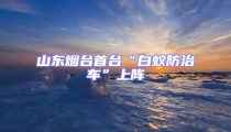 山東煙臺首臺“白蟻防治車”上陣